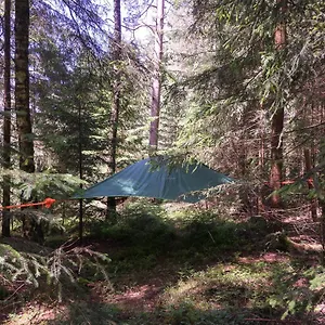 Frühstückspension Baumzelt Im Wald, Regen